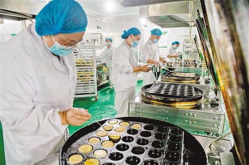 沙坪壩食品中央工廠 科技賦能，為5000名老人定制營養膳食